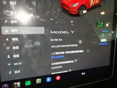Tesla Model Y Rear-Wheel Drive - ფოტო 12