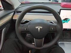 Tesla Model 3 Standard Range RWD Upgrade - ფოტო 11