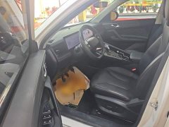 SAIC MG RX5 New Energy 2023 eRX5 Super Hybrid Comfort Edition - ფოტო 16