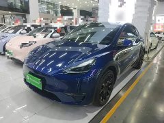 Tesla Model Y 2023 Long Range All-Wheel Drive - ფოტო 1