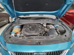 Geely Xingrui 2.0T Diesel Luxury - ფოტო 20