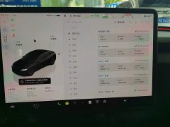 Tesla Model 3 Rear-Wheel Drive - ფოტო 12