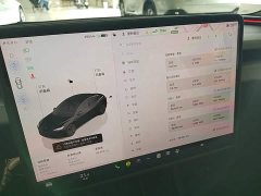 Tesla Model 3 Rear-Wheel Drive - ფოტო 13