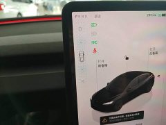 Tesla Model 3 Rear-Wheel Drive - ფოტო 14