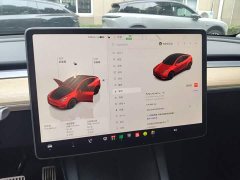 Tesla Model Y Long Range All-Wheel Drive - ფოტო 12