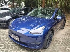 Tesla Model Y Long Range All-Wheel Drive - ფოტო 2