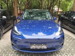 Tesla Model Y Long Range All-Wheel Drive - ფოტო 3