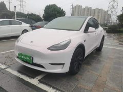Tesla Model Y Long Range All-Wheel Drive - ფოტო 1