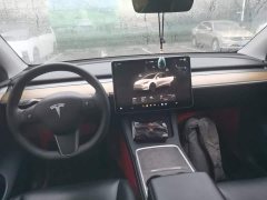 Tesla Model Y Long Range All-Wheel Drive - ფოტო 10