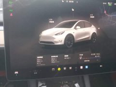 Tesla Model Y Long Range All-Wheel Drive - ფოტო 12