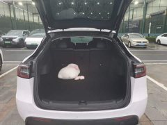 Tesla Model Y Long Range All-Wheel Drive - ფოტო 19