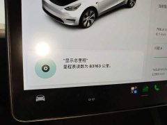 Tesla Model Y Standard Range RWD - ფოტო 12