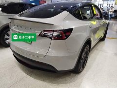 Tesla Model Y Standard Range RWD - ფოტო 7