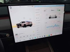 Nio Lerado L60 60kWh Rear-Wheel Drive - ფოტო 12