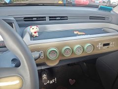 FAW Besturn Xiaoma 122km Cute Horse - ფოტო 13