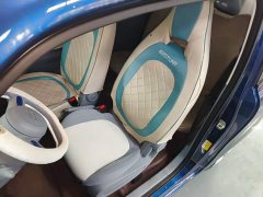 FAW Besturn Xiaoma 2025 222km Dynamic Edition - ფოტო 15