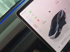 Tesla Model Y Rear-Wheel Drive - ფოტო 14