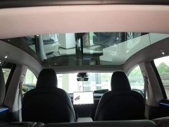 Tesla Model Y Rear-Wheel Drive - ფოტო 18
