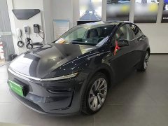 Tesla Model Y Rear-Wheel Drive - ფოტო 2