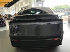 Tesla Model Y Rear-Wheel Drive - ფოტო 6