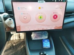 BYD Seal Glory Edition 550km Elite - ფოტო 13