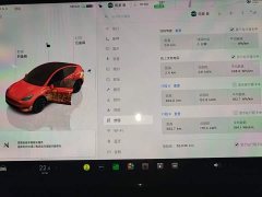 Tesla Model Y Long Range All-Wheel Drive - ფოტო 12