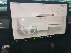 Tesla Model Y Long Range All-Wheel Drive - ფოტო 13