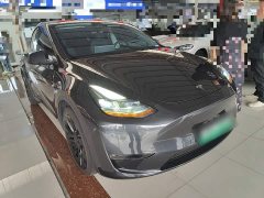 Tesla Model Y Long Range All-Wheel Drive - ფოტო 4