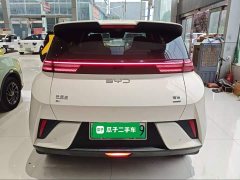 BYD Seagull Smart Driving Edition 305km Freedom Edition - ფოტო 6