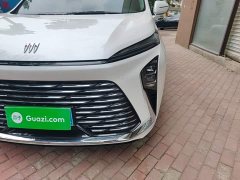 Buick GL8 Luxurious Edition Advance Enjoyment Version - ფოტო 18