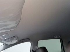 Wuling Starlight 730 New Energy Pure Electric 500km Luxury - ფოტო 18