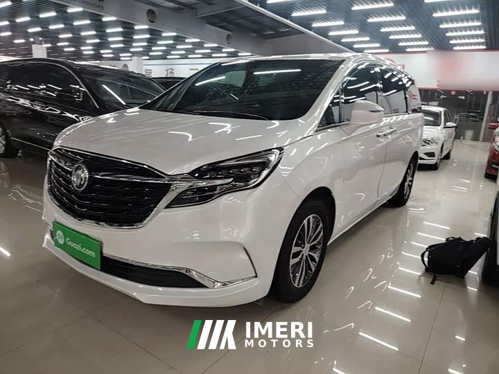 Buick GL8 ES Luxe 653T Comfort
