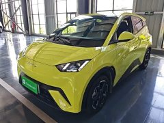 BYD Seagull Freedom Edition - ფოტო 1