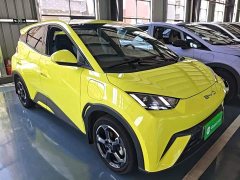 BYD Seagull Freedom Edition - ფოტო 4