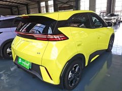 BYD Seagull Freedom Edition - ფოტო 7