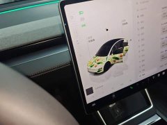 Tesla Model Y Rear-Wheel Drive - ფოტო 14