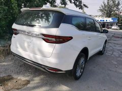 Geely Jiangji 1.8T Diesel DCT Luxury - ფოტო 7