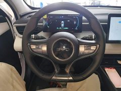 BYD Seagull 05 DM-i Smart Drive Edition 55KM Luxury - ფოტო 11