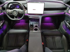 Zeekr Geely Zeekr 001 103kWh RWD Max - ფოტო 10