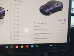 Tesla Model Y Rear-Wheel Drive - ფოტო 12