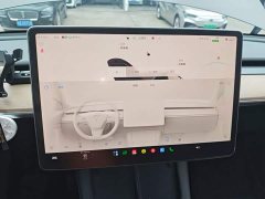 Tesla Model Y Rear-Wheel Drive - ფოტო 13