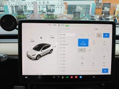 Tesla Model Y Standard Range RWD - ფოტო 13