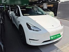 Tesla Model Y Standard Range RWD - ფოტო 4