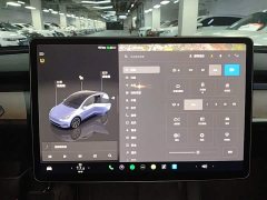 Tesla Model Y 2023 Long Range All-Wheel Drive - ფოტო 13
