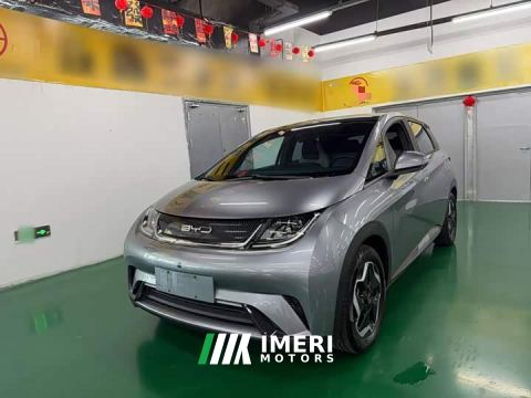 2022 BYD Dolphin 405km Fashion Edition - ავტომობილი ჩინეთიდან