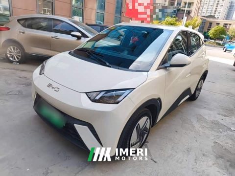 2025 BYD Seagull 305km Vitality Edition - ავტომობილი ჩინეთიდან