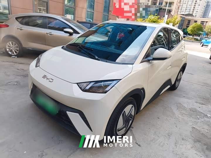 BYD Seagull 305km Vitality Edition