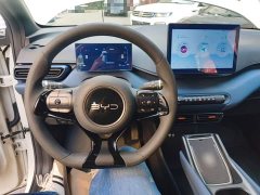 BYD Seagull 305km Vitality Edition - ფოტო 10