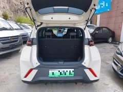 BYD Seagull 305km Vitality Edition - ფოტო 19