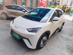 BYD Seagull 305km Vitality Edition - ფოტო 2